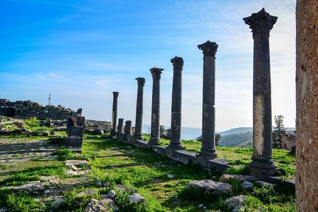 Private Day Tour to Umm Qais from Amman with Optional Hiking Trail