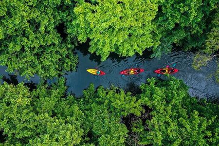 Afternoon Guided Kayak Activity on the Tamarin River