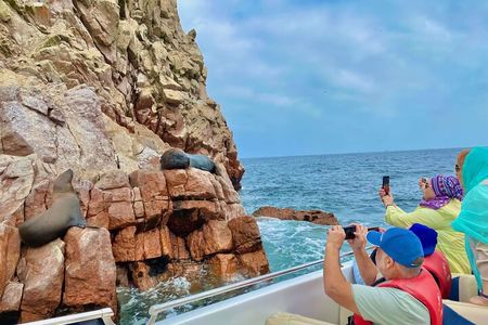 FROM LIMA! Ballestas Islands + Huacachina + Chincha and more