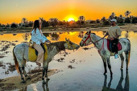 Horseback riding or camel at sunset in Djerba