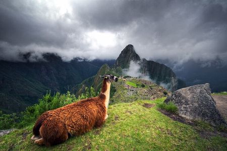 From Cusco: Machu Picchu Full-Day Group Tour