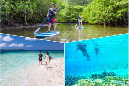 Iriomote Island 1-Day Snorkeling & Mangrove SUP or Canoe