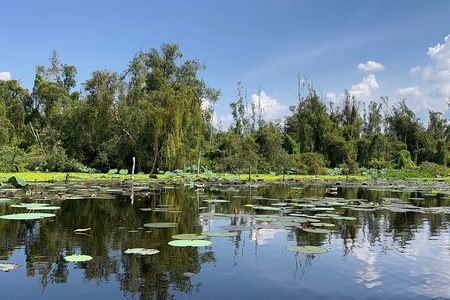 Discover Tan Lap Floating Village: A Tranquil Mekong Delta Escape