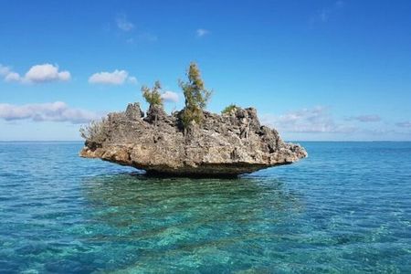 Shared 10 Pax Boat Tour: Dolphin Watching, Snorkelling and BBQ