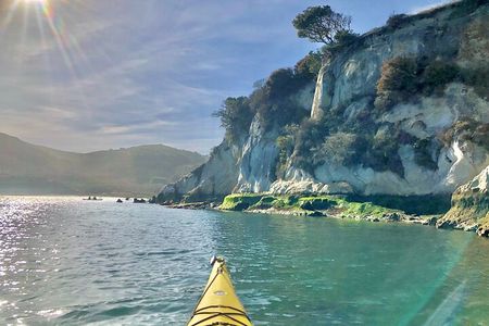 Monday Sick Day Midweek Kayak Tour on Tomales Bay