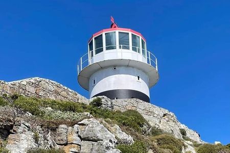 Private Tour to Table Mountain, Penguins Colony and Cape Of Good