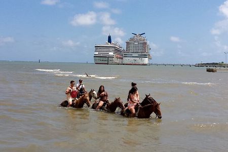 Horse Tours on the Beach and Mountains in Puerto Plata 