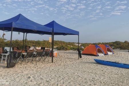 Full Day Camping in Daymaniyat Islands