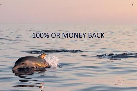 Private Guided Sunset Dolphin Watching in Adriatic Sea
