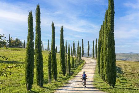 San Gimignano: eBike Tour Virtual-Guided