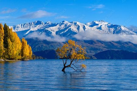 Queenstown to Franz Josef via Wanaka Small Group Day Tour (1-Way)