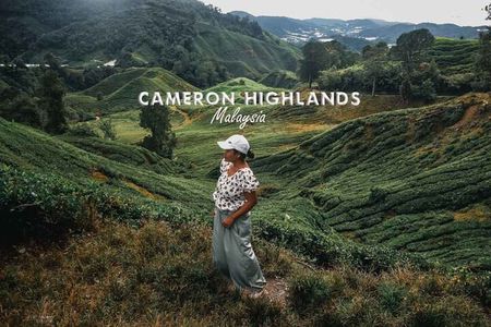  Cameron Highland Day Tour From Kuala Lumpur By Group
