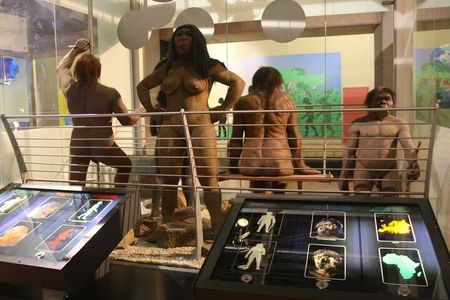 Cradle of Humankind Full Day Tour from Pretoria and Johannesburg
