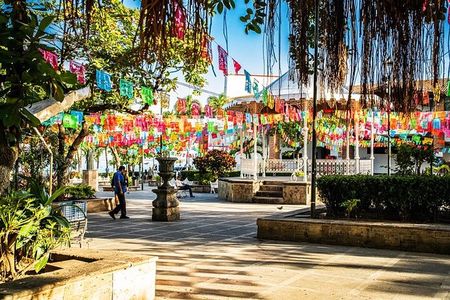 Signature City Tour: The Private Experience in Puerto Vallarta