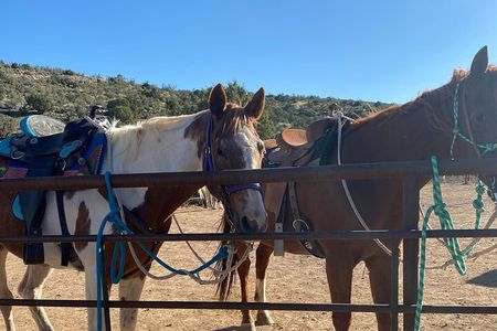 Horseback Ride near the Grand Canyon's West Rim
