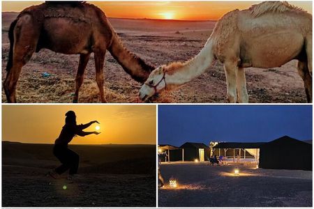 Marrakech Amazing Dinner Show in Agafay Desert, Sunset Camel Ride