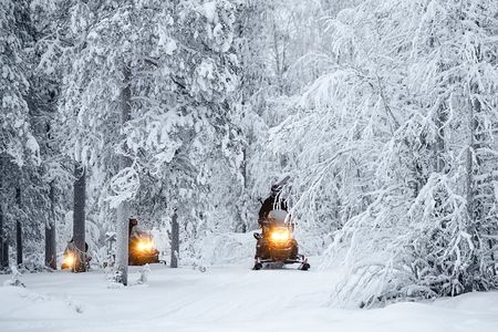Private Snowmobile Experience in Rovaniemi's Forest