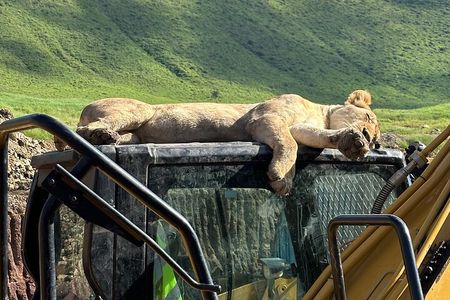 Classic 4-Day Tanzania Safari: Tarangire, Serengeti & Ngorongoro 