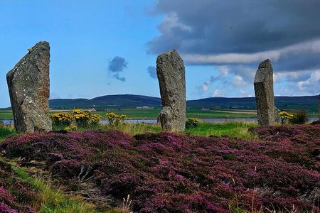 Scapa Tours