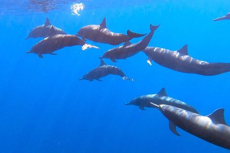 Private Huatulco Ocean Eco Adventure