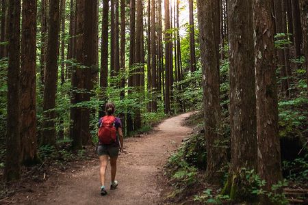 Magome to Tsumago Hiking Tour from Nagoya