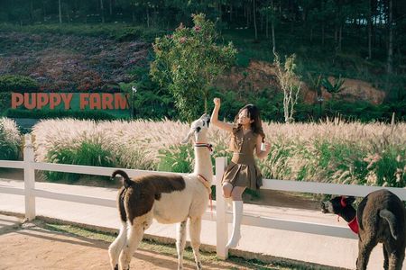 Full-Day Highlight of Da Lat –The famous tourist attractions 2025