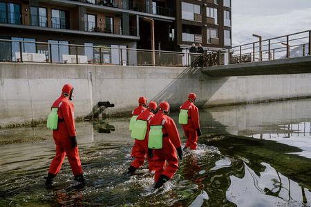 2 Hours Urban Arctic Floating Activity in the Harbours of Tromsø
