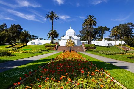 Golden Gate Park Tour With California Academy of Sciences Ticket