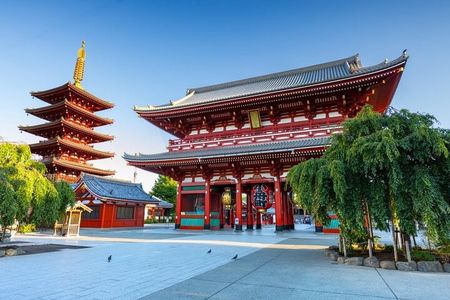 Tokyo Private Tour with English Speaking Driver