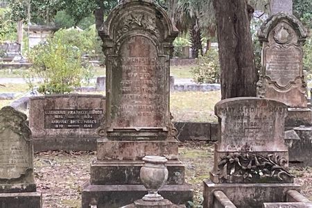 Real Savannah: History, Ghost, and True Crime Tour