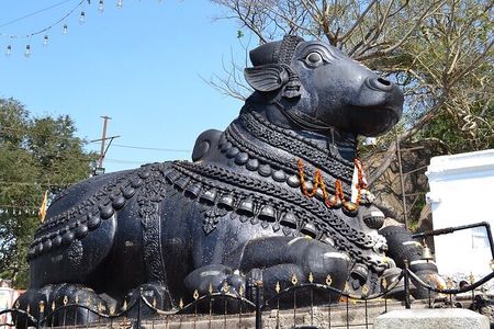 City tour of Beautiful Bengaluru - Half Day