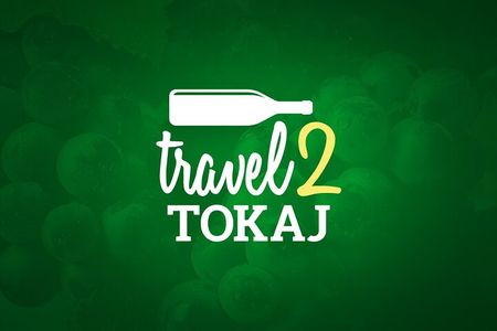  Wine Tasting Tour in Tokaj Wine Region Slovakia. With transport