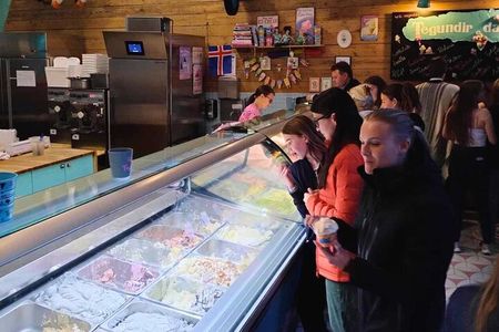 Reykjavik Food Tour - Old Harbor Walking Tour