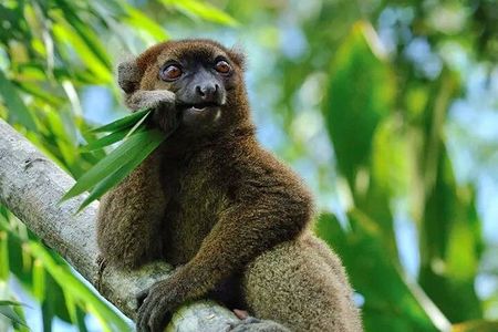 8 Day -RN7 Road trip tour to South Mangily Ifaty