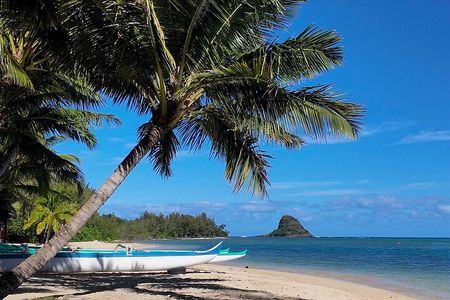 Private Tour Oahu-Customizable-Circle Island-Full or Half Day