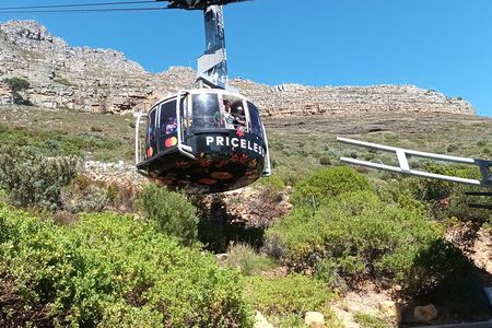 Robben Island and Table Mountain Experience