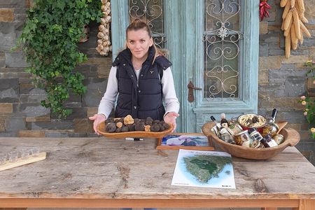 Truffle Hunting in Istria - Day Trip from Zagreb