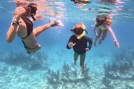 Reef Snorkel + Sandbar & Sunset Sail-Small Groups with Honest Eco