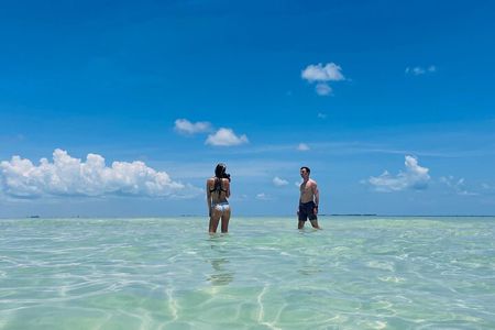 Private Charter 6 Passenger Sandbar, Snorkel, Dolphins