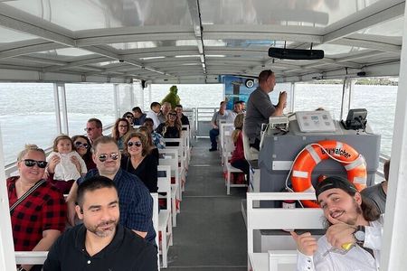 Baywatch Dolphin Tours – Pier 21 Galveston