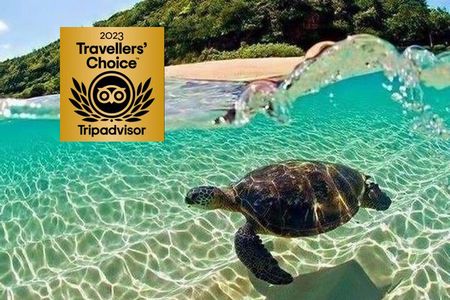 Zakynthos Private Boat: Turtle Spotting, Marathonisi Island(max5)