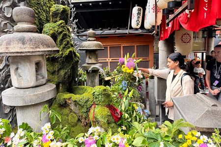 Vegetarian and Muslim Friendly Private Tour of Osaka