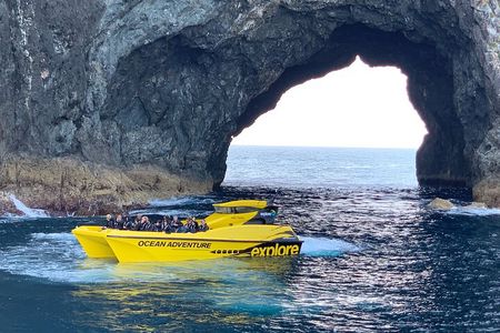 Ocean Adventure: Fast Boat to the Hole in the Rock