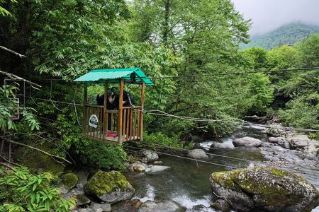Hiking in Batumi ( Mtirala National Park)