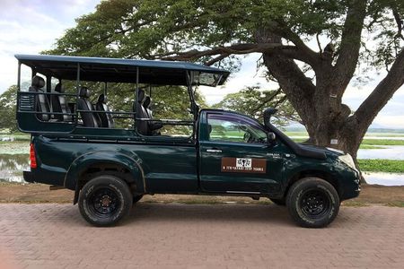 Yala National Park Wildlife Safari/ Game Drive - by Ajith Safari