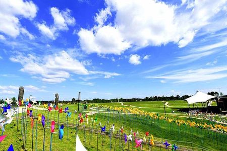 Demilitarized Zone (DMZ) Tour from Seoul