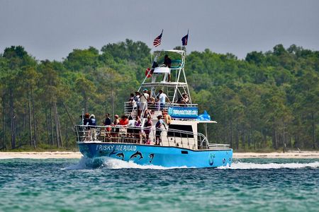 Frisky Mermaid Public Dolphin + Sightseeing Cruise Up to 49 Pax