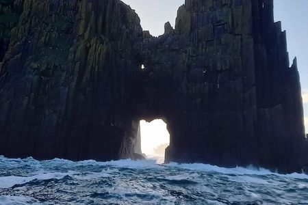 Dingle Boat Tours Wildlife RIB Adventure