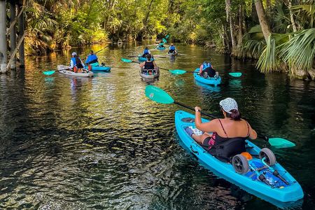 Silver Springs Kayak Tour - Best price, Best Gear, Free Photos