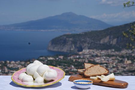FARM LIFE -Food Immersion- an Authentic Italian Experience 